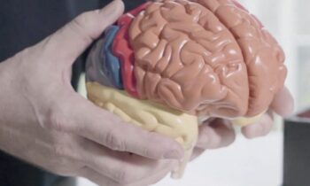 Why music and sensory stimulation is medicine for the brain